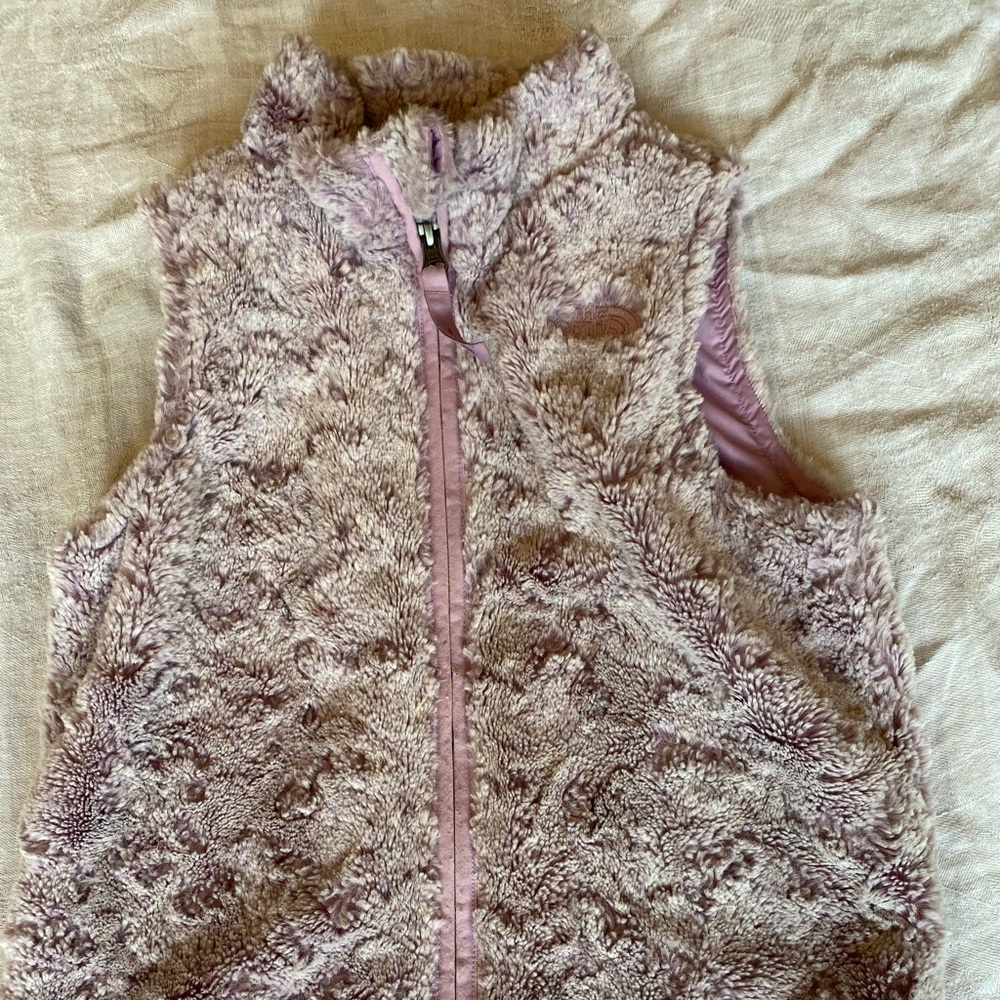 North face Purple Vest